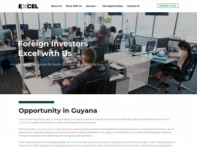 excelguyana.com snapshot