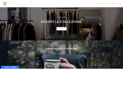 store297.weebly.com snapshot
