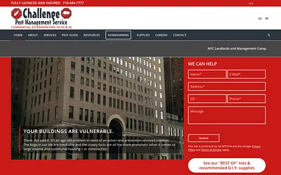 pestchallenge.com snapshot