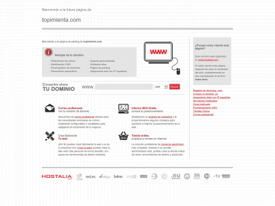 topimienta.com snapshot