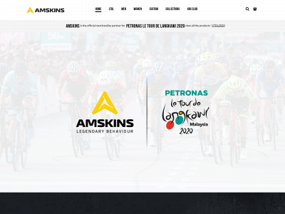 amskins.com snapshot