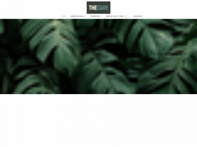 thecare.es snapshot