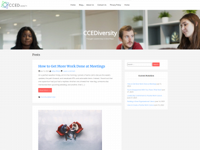 ccediversity.com snapshot