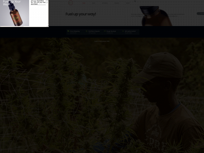 hellocfuel.com snapshot