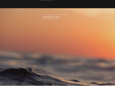 theserendipityofalifewelllived.online snapshot