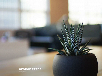 georgereece.com snapshot