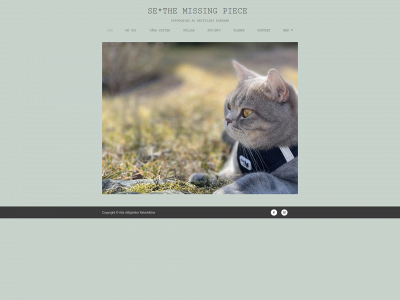 themissingpiece.nu snapshot