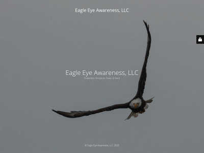 eagleeyeawareness.com snapshot