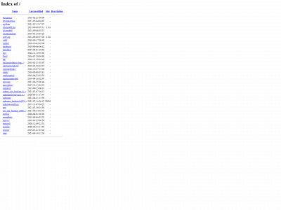 saharaminingservices.com snapshot