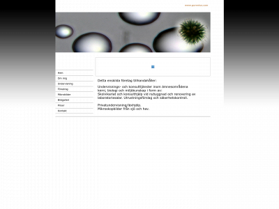 gurenius.com snapshot