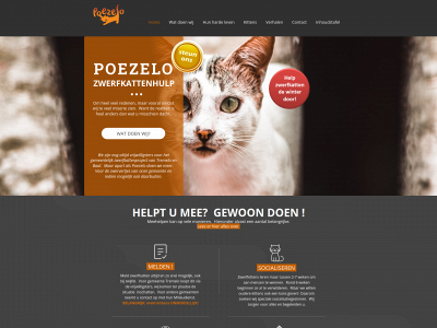 zwerfkatten-poezelo.be snapshot