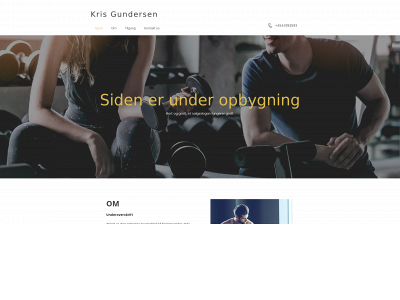 krisgundersen.com snapshot