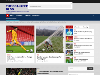 thegoalkeepingblog.com snapshot