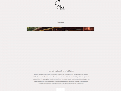 steeab.se snapshot
