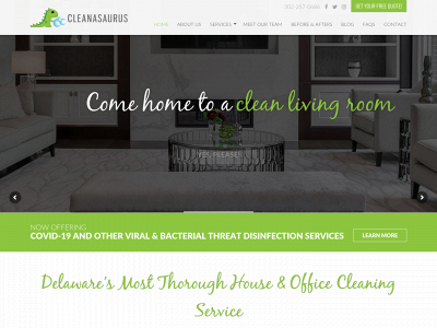 cleanasaurus.com snapshot