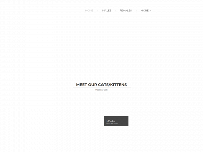 indigoeyes.se snapshot