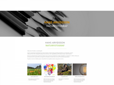 hansarvidsson.com snapshot