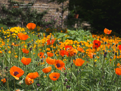 garden-care.be snapshot