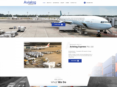 avialogexpress.com.sg snapshot