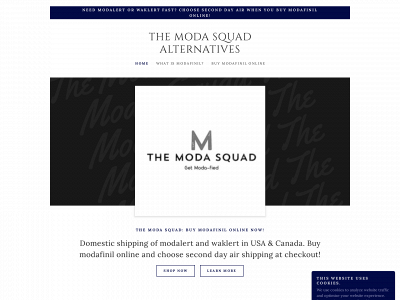 themodasquad.com snapshot