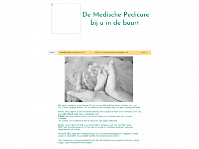 pdiq.nl snapshot