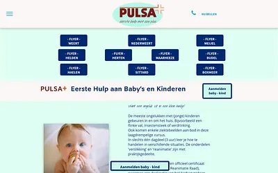 pulsaplus.nl snapshot