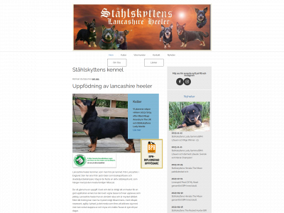 stahlskytten.se snapshot