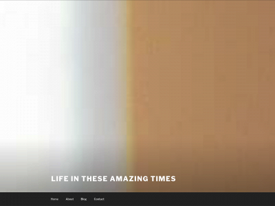 theseamazingtimes.com snapshot