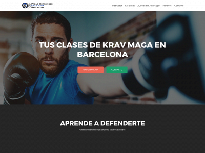 pablohernandezinstructor.com snapshot