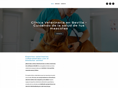 www.clinicavetarinariasam.com snapshot