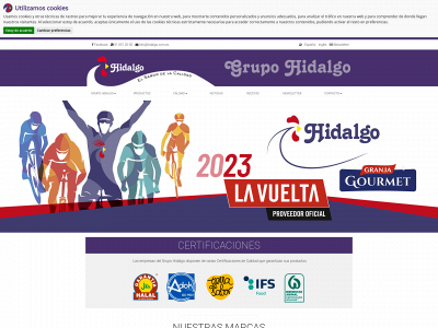 www.aveshidalgo.com snapshot