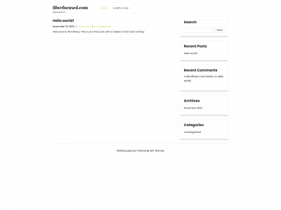 fiberfocused.com snapshot