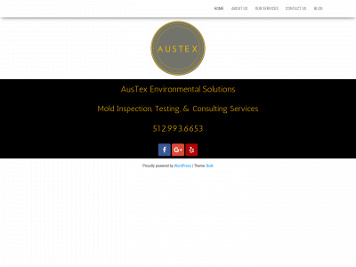 austexenvironmental.com snapshot