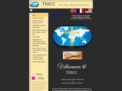 tnicc.no snapshot