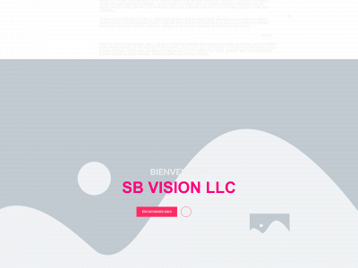 sbvisionllc.com snapshot