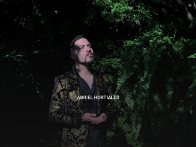 www.adrielhortiales.com snapshot