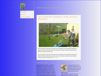 svallerup.com snapshot