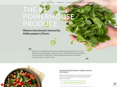 watercress.com snapshot