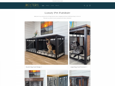 dextersdigs.com snapshot