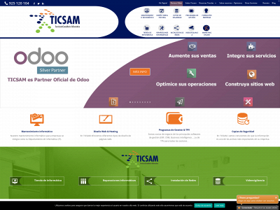 ticsam.com snapshot