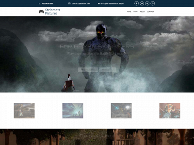 steinmetzpictures.com snapshot