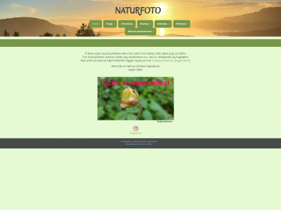 ditten.net snapshot