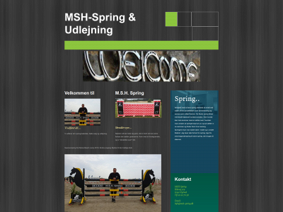msh-spring.dk snapshot
