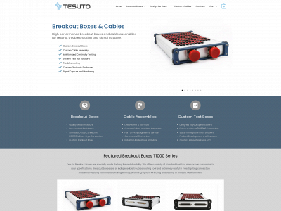 tesutosys.com snapshot