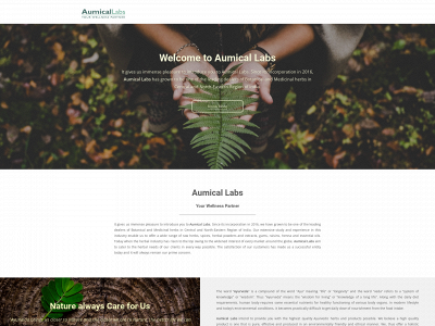 aumical.com snapshot