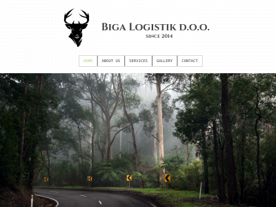 bigalogistik.com snapshot
