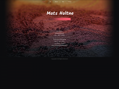 matsholtne.com snapshot