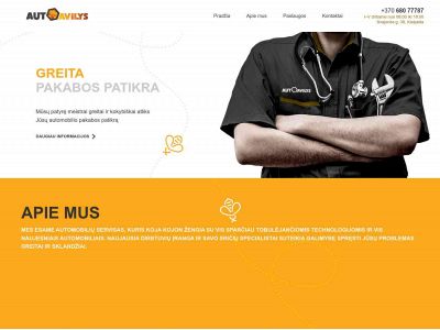 autoavilys.lt snapshot