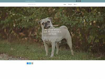 justiceforotis.org snapshot