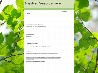 naestved-seniordanser.dk snapshot
